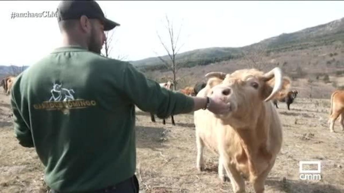 El ganadero más joven de la Sierra Norte