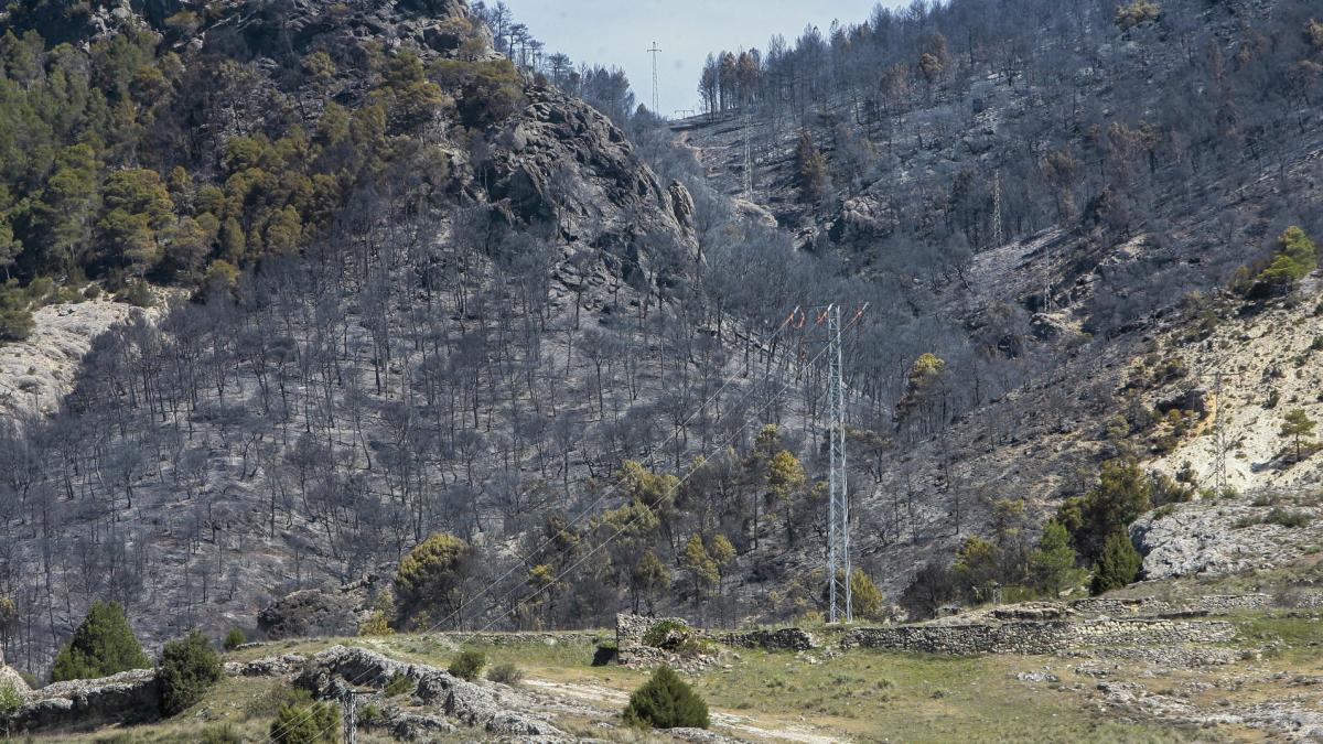 Extinguido El Incendio Declarado El Martes En El Parque Natural Del