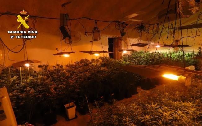 plantación indoor marihuana Isso