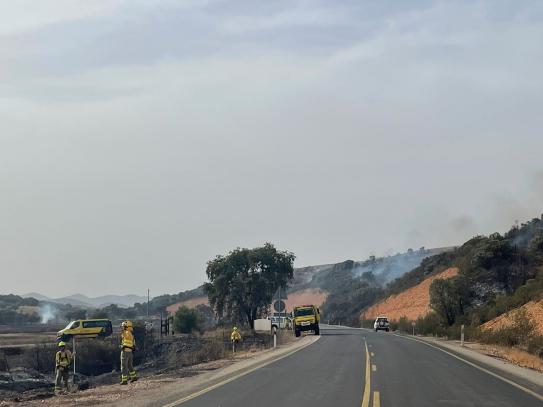 Incendio en Puebla de Don Rodrigo (Ciudad Real), 25/08/2023