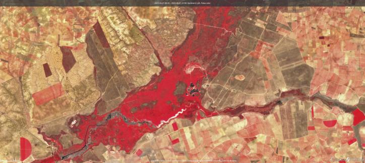 GRAF2545. DAIMIEL (CIUDAD REAL), 30/08/2023.- El Parque Nacional de Las Tablas de Daimiel está a punto de secarse y, con tan sólo 18 de las 1.850 hectáreas de terreno que son susceptibles de estar inundadas, está perdiendo la vida por el uso excesivo de agua en la agricultura. En la imagen, falso color tomada por el satélite Sentinel 2 de la Agencia Espacial Europea (ESA) el pasado día 21 de agosto de 2023 a la 13:10 horas muestra el estado en que se encuentra el Parque a finales del verano. FE/Rafa Gosálvez (profesor investigador de la UCLM)/SOLO USO EDITORIAL/SOLO DISPONIBLE PARA ILUSTRAR LA NOTICIA QUE ACOMPAÑA (CRÉDITO OBLIGATORIO)
