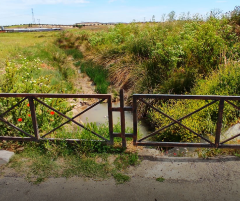 Arroyo de Seseña