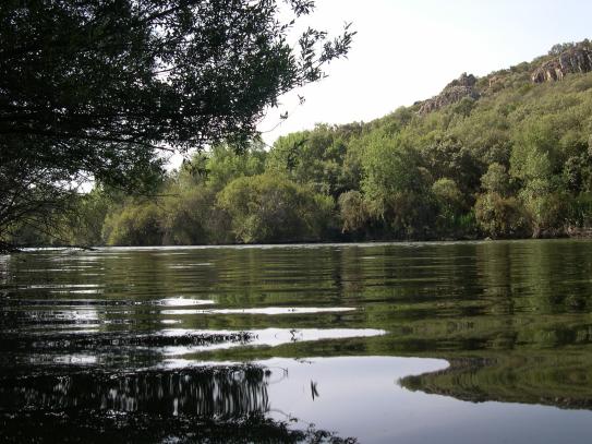 Zona de baño de la Tabla de la Yedra, en Piedrabuena (Ciudad Real).