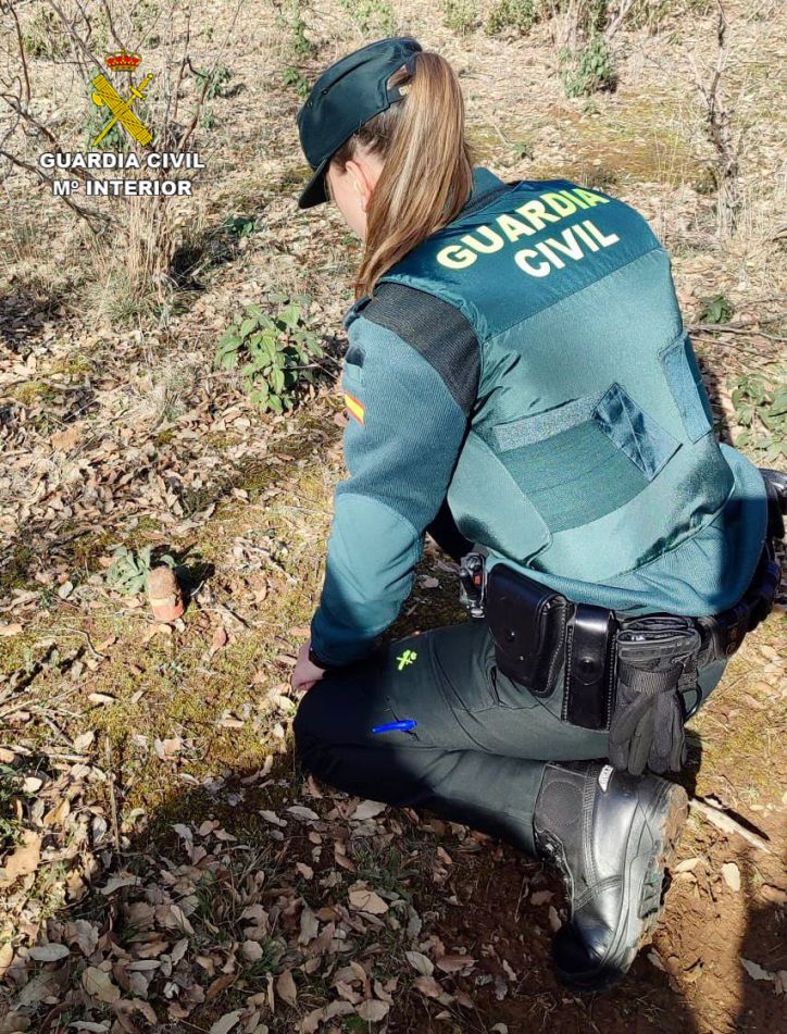 Localizada en un paraje de Brihuega