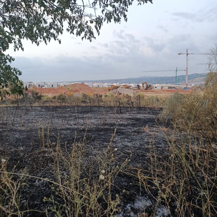Zona afectada por el incendio en las inmediaciones del barrio de La Legua, en Toledo capital