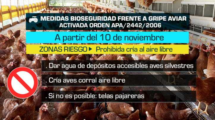 Medidas de lucha contra la gripe aviar
