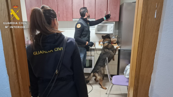 Cae un grupo criminal con 6 detenidos por robar en viviendas, establecimientos y coches en la comarca de Talavera de la Reina