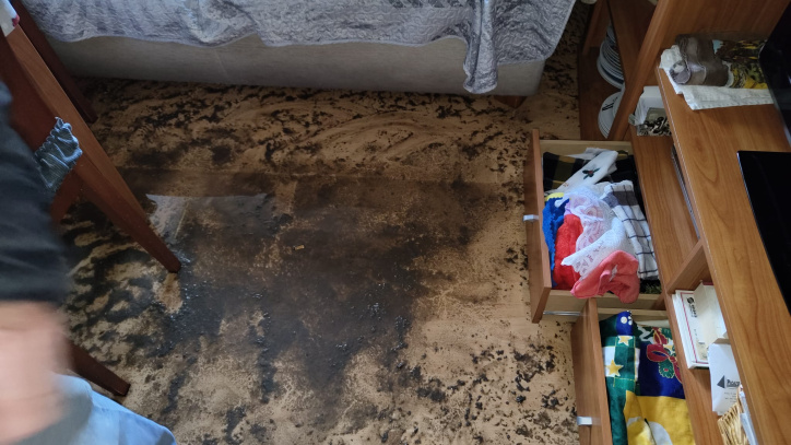 Así se encontraban esta mañana las viviendas afectadas.