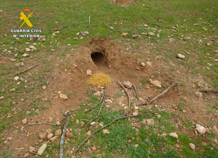 Cebada encontrada junto a una madriguera