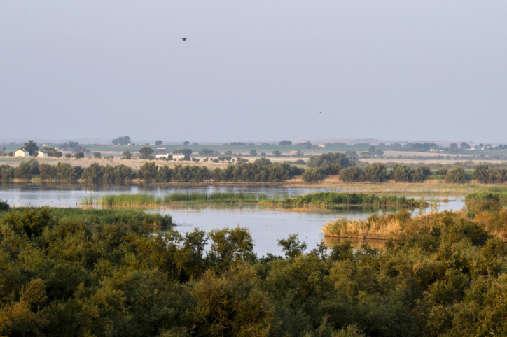 El Parque Nacional de Las Tablas de Daimiel a 1 de septiembre de 2026