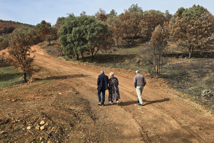 El alcalde de La Mierla, Ricardo Jiménez, la delegada del Gobierno regional en Guadalajara, Rosa García, y el delegado provincial de Agricultura y Ganadería, Santos López pasean por las zonas afectadas por el incendio, este sábado. Los pueblos afectados por el incendio de la Sierra Norte de Guadalajara, iniciado en La Mierla el 16 de julio y que arrasó más de 34.000 hectáreas, comienzan su recuperación tres meses después con la finalización del arreglo de caminos, el inicio de la saca de madera y el pago de ayudas al sector primario y turístico en las próximas semanas. EFE/Beatriz Retuerta de Lucas