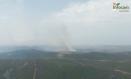 Incendio forestal en Puebla de Don Rodrigo (Ciudad Real)