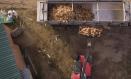 Gallinas afectadas por gripe aviar en Íscar (Valladolid)
PUEBLOS VIVOS
(Foto de ARCHIVO)
16/2/2022