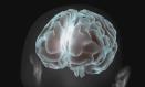 Una investigación de la UCLM descubre que la Q10 puede reducir el tumor cerebral