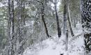 Nevada en Sierra del Agua (Paterna del Madera, Albacete)