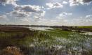 La Confederación Hidrográfica del Guadiana celebra el Día Mundial de los Humedales con una ruta por el embalse del Vicario
CHG
31/1/2023