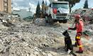 David y su perro Vito durante las labores de rescate en Turquía
