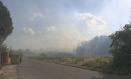 Incendio forestal en Hormigos (Toledo)