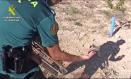 Un investigado por cazar aves con redes ilegales en la zona de Hellín