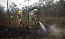 Agentes de los equipos de bomberos trabajan en el lugar del incendio, a 8 de febrero de 2024, en Trabada, Lugo, Galicia (España). La Consellería de Medio Rural de Galicia ha informado de un incendio forestal activo en el municipio lucense de Trabada que afecta a una superficie de más de 20 hectáreas. El fuego se ha iniciado durante el mediodía de hoy, y para su control se ha movilizado a cinco agentes, cinco brigadas y siete motobombas.
08 FEBRERO 2024;INCENDIO;BOSQUE;
Carlos Castro / Europa Press
08/2/2024