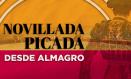 Novillada picada desde Almagro, 16 de marzo de 2024