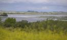 El Parque Nacional de Las Tablas de Daimiel, considerado a nivel internacional como uno de los humedales más importantes de España, ha alcanzado las 623 hectáreas inundadas.