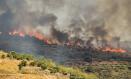 Vista general del incendio provocado en Chiloeches, a 19 de julio de 2022, en Chiloeches, Guadalajara, Castilla La Mancha (España). El incendio en Chiloeches ha pasado a ser declarado de nivel 2 por posible afección a bienes de naturaleza no forestal y posible afección por humo a la población. Trabajan para controlarlo 10 medios, de los que dos son aéreos, y 47 personas. El fuego ha sido detectado pasadas las 15:45 horas y está afectando a una superficie agrícola. Hasta el momento han participado en el operativo 14 medios y 67 personas.
19 JULIO 2022;CHILOECHES;GUADALAJARA;CASTILLA LA MANCHA;INCENDIO
RAFAEL MARTÍN / Europa Press
(Foto de ARCHIVO)
19/7/2022