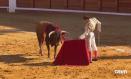 El domingo 14 de julio, la plaza de toros de Manzanares y los espectadores de Castilla-La Mancha Media son testigos de la primera semifinal del certamen 'Promesas de nuestra tierra'. Novillada sin picadores con novillos de Antonio López Gibaja para Marta Martín, Israel Aparicio y Daniel Moset.
