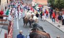 (Foto de ARCHIVO)
Encierro en las fiestas de Guadalajara.

REMITIDA / HANDOUT por AYUNTAMIENTO
Fotografía remitida a medios de comunicación exclusivamente para ilustrar la noticia a la que hace referencia la imagen, y citando la procedencia de la imagen en la firma
14/9/2024