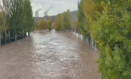 La crecida del río Tajo a su paso por Trillo (Guadalajara).