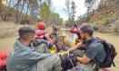 Perros de la Guardia Civil y de la UME trabajando en la localización de desaparecidos en Letur