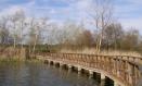 Parque Nacional en Las Tablas de Daimiel.

JCCM
03/3/2024