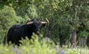 El Senado, nueve comunidades autónomas y la Fundación Toro de Lidia convocan el Premio Nacional de Tauromaquia

REMITIDA / HANDOUT por JUNTA DE EXTREMADURA
Fotografía remitida a medios de comunicación exclusivamente para ilustrar la noticia a la que hace referencia la imagen, y citando la procedencia de la imagen en la firma
21/1/2025