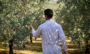 El Ministerio de Agricultura, a través del FEGA, abonó 3.665 millones de euros en ayudas directas de la PAC 2024 hasta el 31 de diciembre