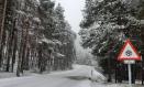 Nieve en Vega del Codorno (Cuenca)