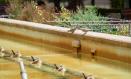 (Foto de ARCHIVO)
Dos palomas intentan acceder al agua de una fuente apagada, en la Plaza del Altozano, a 10 de agosto de 2023, en Albacete, Castilla-La Mancha (España). El Gobierno de Castilla-La Mancha mantiene activo el Plan Específico ante el Riesgo por Fenómenos Meteorológicos Adversos (Meteocam) en la provincia de Albacete, donde la Agencia Estatal de Meteorología (Aemet) establece un aviso rojo por riesgo extremo de altas temperaturas en las comarcas de Hellín y Almansa.
10/8/2023