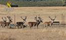 Imagen de la granja cinegética de Ciudad Real