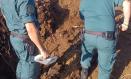 Los agentes encontraron restos óseos de los animales entre montañas de estiércol.