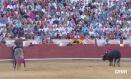 El domingo 23 de agosto a las 18:30 h. corrida de rejones desde Cuenca con Andy Cartagena, Diego Ventura y Duarte Fernandes frente a astados de San Pelayo.
