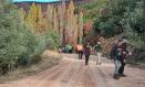 Participantes en la marcha convocada por la zona afectada por el incendio de la Sierra Norte de Guadalajara