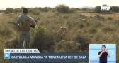 Aprobada la ley de caza en Castilla-La Mancha