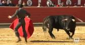 Tiempo de Toros