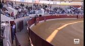 Certamen 'Alfarero de Plata': Novillada sin caballos desde Villaseca de la Sagra