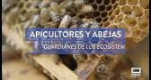 Apicultores y abejas, guardianes de los ecosistemas
