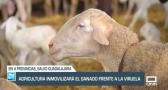 Agricultura inmovilizará el ganado frente a la viruela - 06/02/23