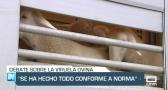 La gestión de la viruela ovina, a debate en las Cortes - 23/02/23