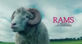 Rams