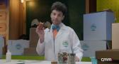 Eco-Taller: Murciélagos de herradura reciclables