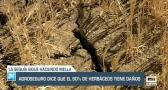 Agroseguro dice que el 90 % de los herbáceos tiene daños - 15/05/23