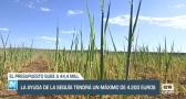 La ayuda de la sequía tendrá un máximo de 4200 euros - 23/05/23